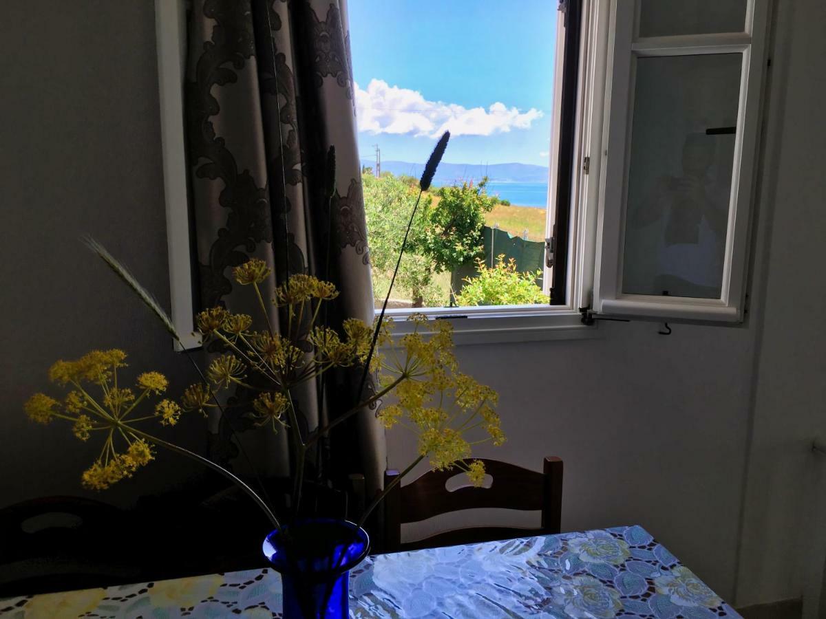 Anthoula'S Sea View Apartment Píszo Livádi Kültér fotó