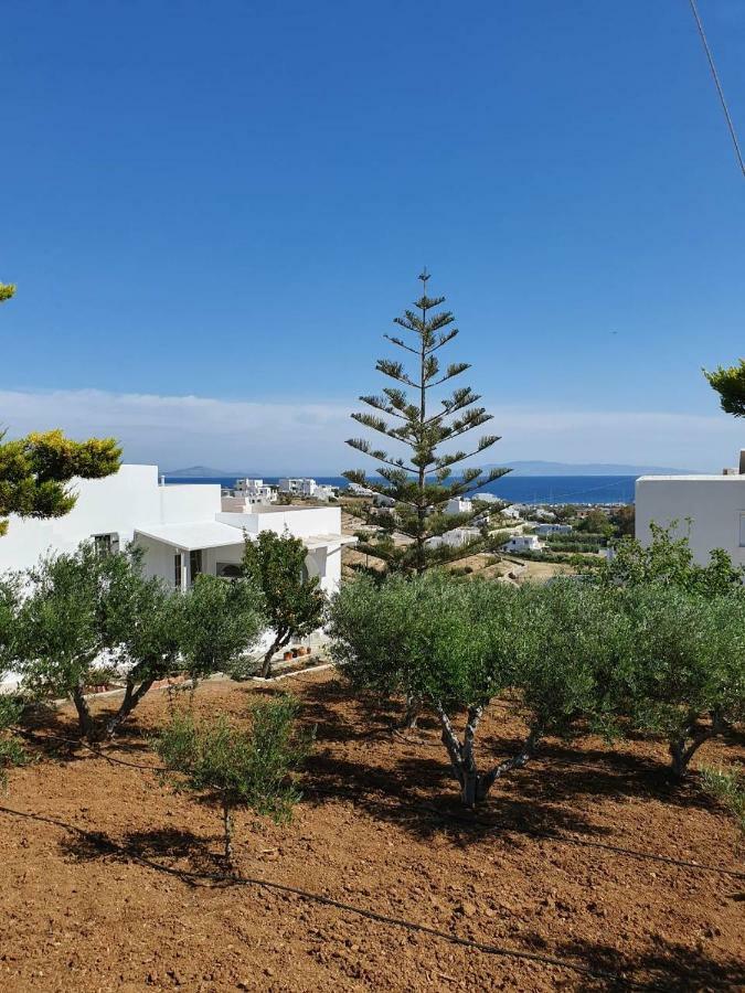 Anthoula'S Sea View Apartment Píszo Livádi Kültér fotó