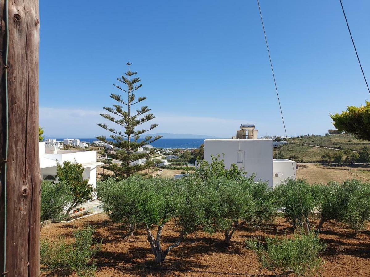 Anthoula'S Sea View Apartment Píszo Livádi Kültér fotó